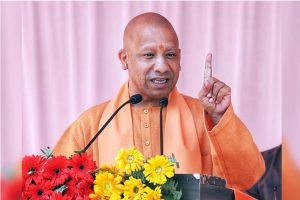 Cm yogi new order