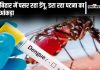 Bihar Dengue News| Dengue In Bihar: 55 New Dengue Patients Found In Patna In One Day, Patliputra Becomes Hot Spot