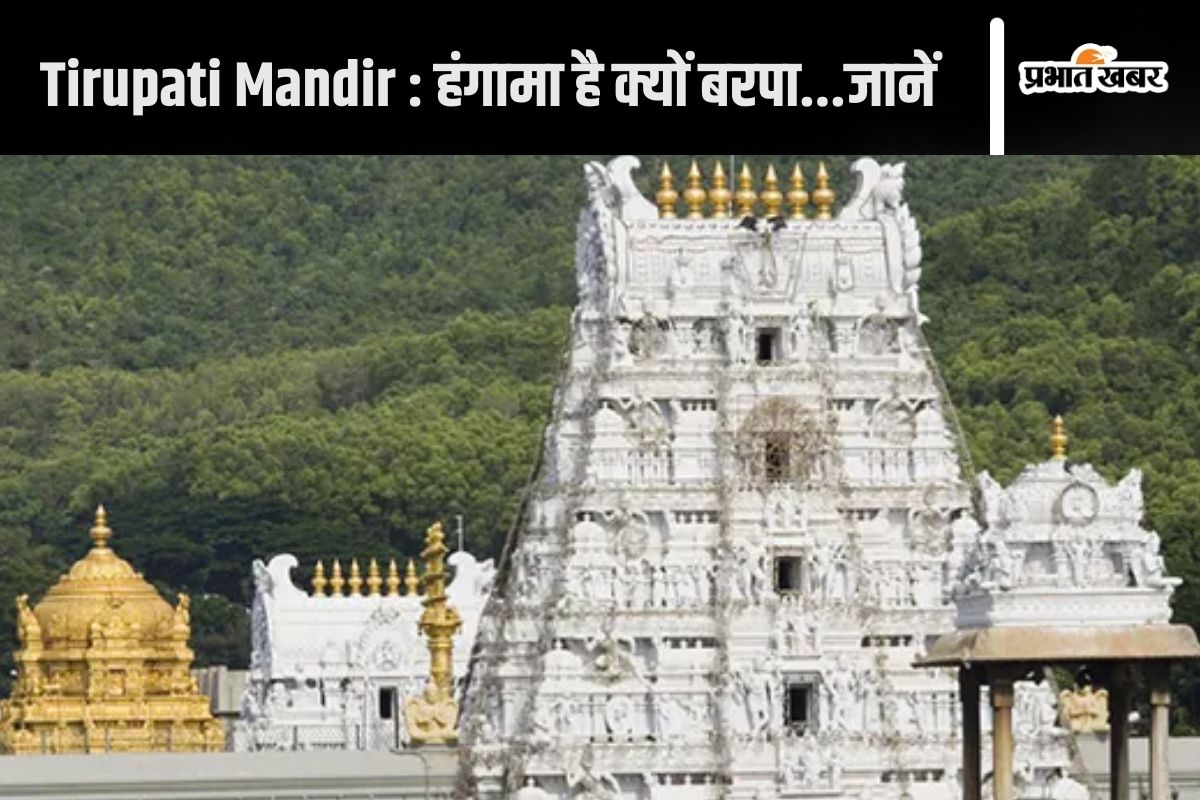 Tirupati Mandir : लड्डू पर क्यों छिड़ा संग्राम? ‘पशु चर्बी’ पर भिड़े टीडीपी व वाईएसआरसीपी, बीच में कूदी कांग्रेस