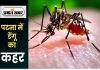 Dengue News