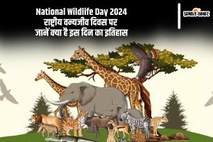 National Wildlife Day 2024: राष्ट्रीय वन्यजीव दिवस पर जानें क्या है इस दिन का इतिहास