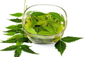 Benefits of Neem Leaves