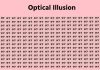 Optical Illusion