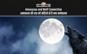 Somvati Amavasya 2024: अमावस्या की रात को भेड़ियों से है क्या कनेक्शन