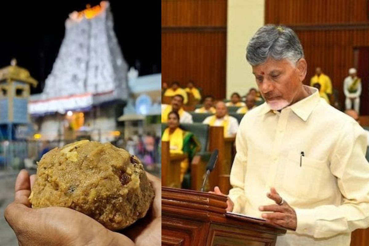 Tirupati Laddu Controversy: एक्शन में केंद्र सरकार, घी सप्लाई करने वाली कंपनी को कारण बताओ नोटिस