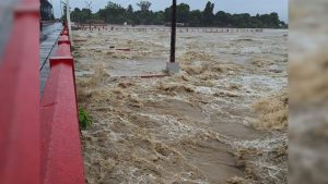 araria flood news| Bihar Flood News: Situation of Kosi-Seemanchal worsened due to rain devastation in Nepal, alert issued in many districts