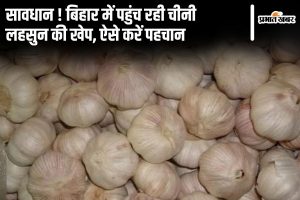 bihar chinese garlic news | Bihar News: Chinese garlic consignment is reaching Bihar, be careful while purchasing, it is harmful for health.