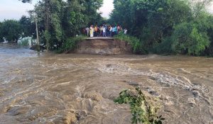 bihar flood news| Bihar Flood: 7 embankments broken in 24 hours in Bihar, more than 50 roads destroyed