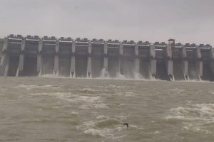 chandil dam gate opened