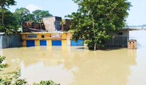 chhapra flood news | Bihar Flood News: Ring dam broke in Manjhi of Chhapra, flood water entered the village.