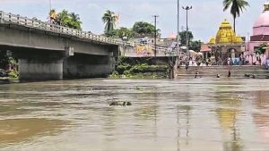 पूर्णिया में बहनेवाली सौरा नदी.