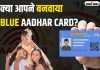 Blue Aadhar Card