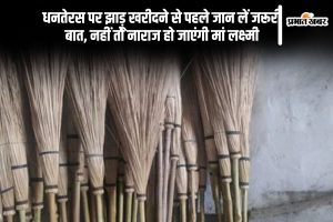 Dhanteras 2024 Broom Buying