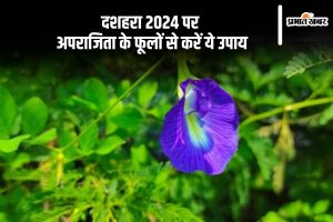 Dussehra 2024 Upay