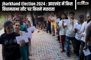 Jharkhand Election 2024 Electors Detail