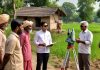 Land Survey News