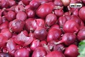 Onion Price