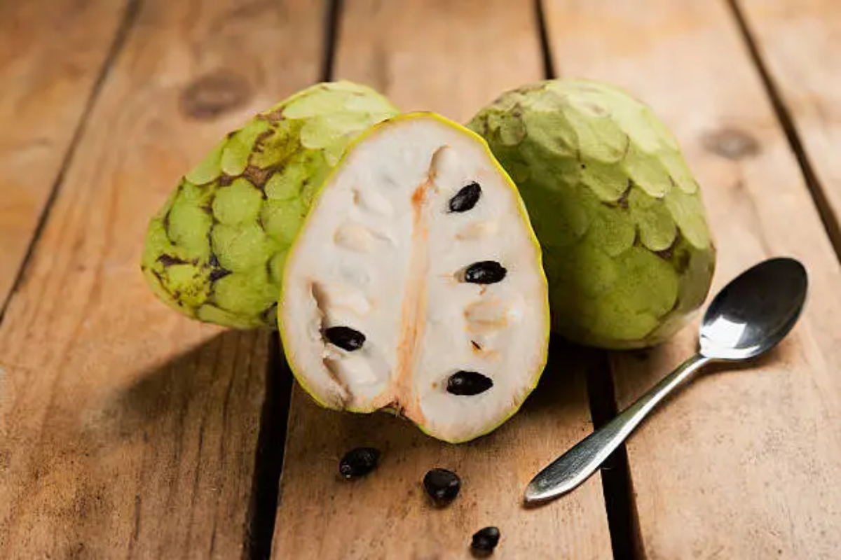 Valuable health benefits and nutritional properties of custard apple (custard apple)