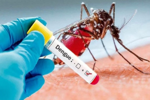 Deoghar Dengue News :