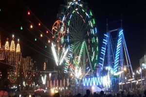 durga puja