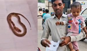 nawada snake news| Bihar News: Ten month old child took snake in mouth thinking it was a toy