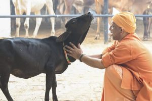 'Krishi Bharat 2024' fair/ CM Yogi Adityanath