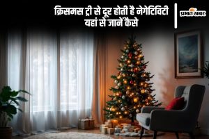 Christmas 2024 Tree Vastu Tips