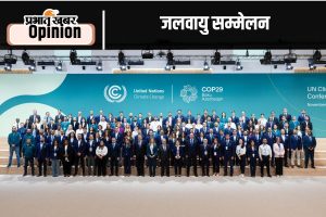 cop 29