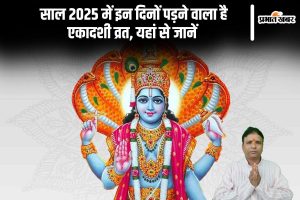 Ekadashi Vrat 2025 Date List