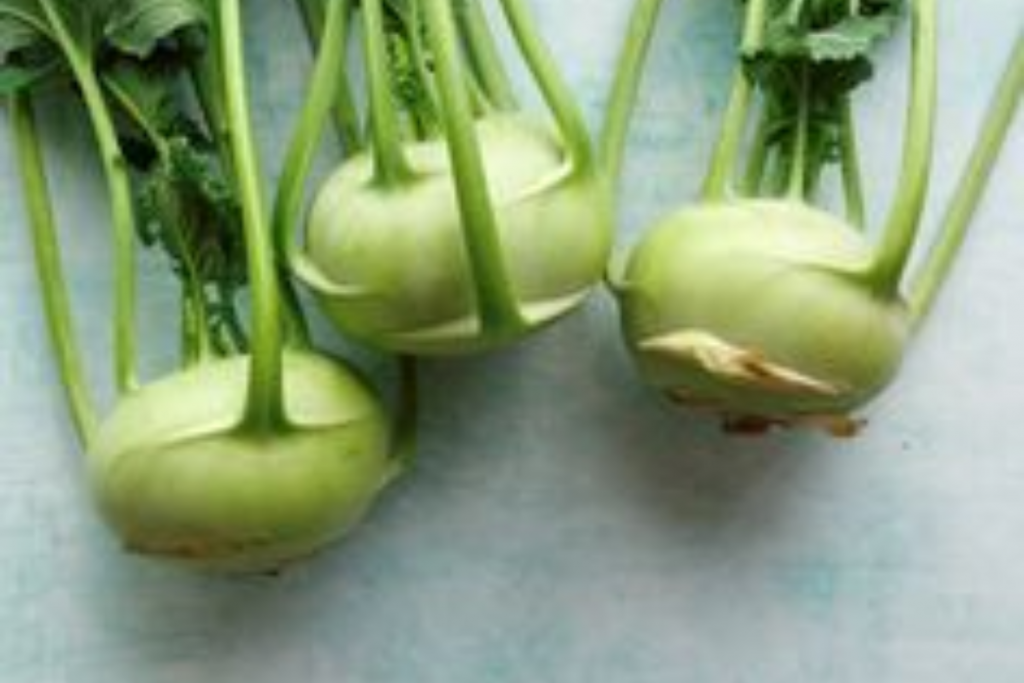 Kohlrabi 2