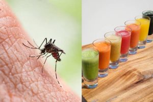 Dengue-Malaria Remedies