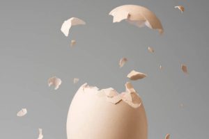 benefits of Egg Shell