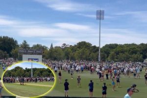 Eng vs NZ. Spectators entered on cricket ground