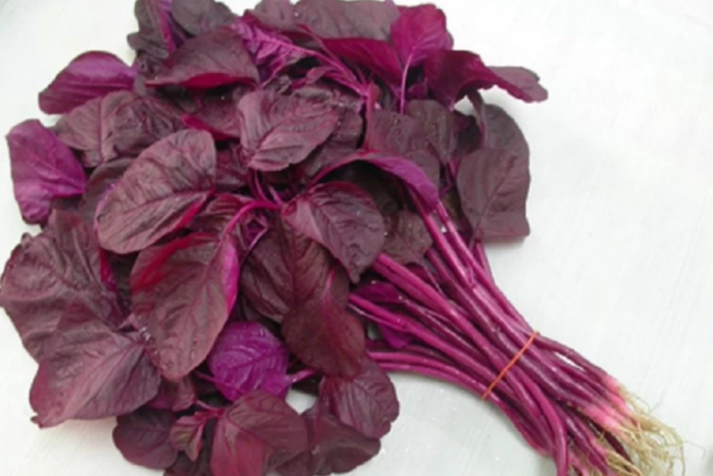 Red Spinach Leaves