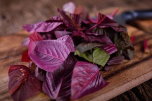 Red Spinach Leaves benefits: बाजार में आम दिखने वाली ये सब्जी लाल भाजी होती है बेहद फायदेमंद, जानें इसके चौका देने वाले गुण