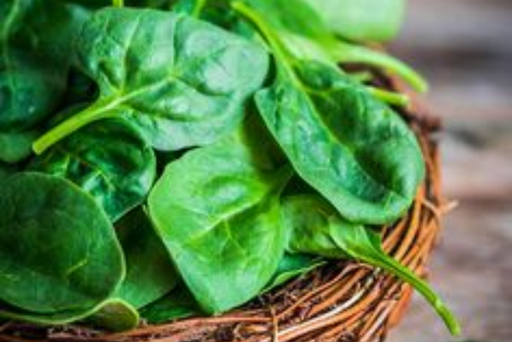 Tips To Grow Spinach And Fenugreek 2 1