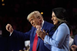 Who is Tulsi Gabbard?