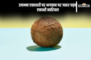 Utpanna Ekadashi 2024