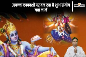 Utpanna Ekadashi 2024 Shubh Sanyog