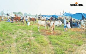 sonepur mela