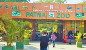 patna zoo timing news| Patna News: Timings of these parks including Patna Zoo changed, now entry will be from this time