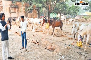 sonepur mela