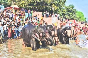 sonepur mela