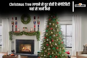 Christmas Tree Vastu Tips