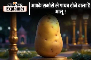 Potato Price