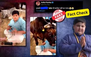 FACT CHECK Abhinav Arora Attacked by Cow