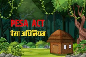 PESA Act