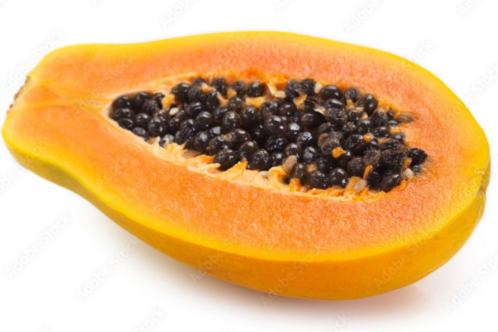 Papaya 111344