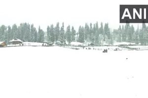 SNOWFALL IN KASHMIR