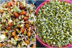 Sprouted Moong Recipes